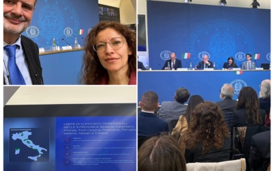 ABC a Roma all’Osservatorio Nazionale sulla Condizione delle Persone con Disabilità – 17 aprile 2025, con Marco Espa e Francesca Palmas